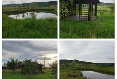 Casă cu 7 camere cu Teren 9800 Mp în Șintereag - 7