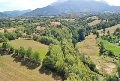 Teren intravilan, priveliste deosebita - 15