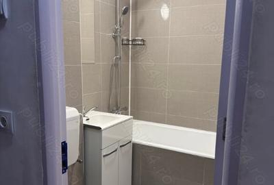 Colentina teiul doamnei metrou obor - 6