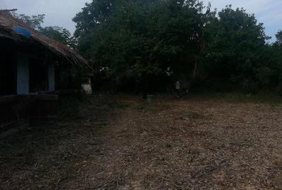 Teren de 1238 mp, în Gruiu - 2