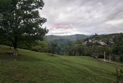 Teren de 4000 mp, în Moroeni - 1