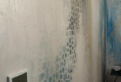 Casă cu 3 camere cu Teren 330 Mp în Dumbrăvița - 1