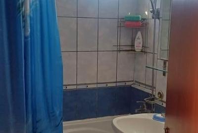 APARTAMENT 2 CAMERE DRUMUL TABEREI - 7