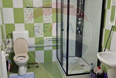 Casa 100 mp utili Adunatii Copaceni - 3