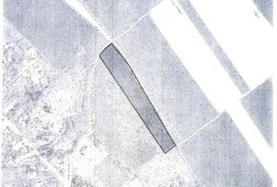 Teren agricol extravilan de 21500 mp, în Gruiu - 5