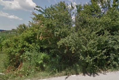 Teren 40000mp zona IMGB - 2