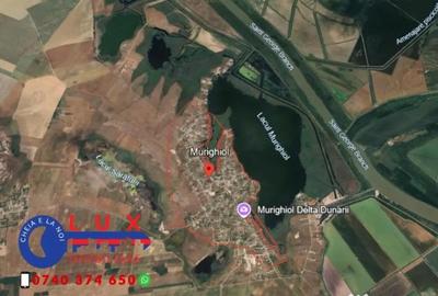 Teren de 1100 mp, în Murighiol