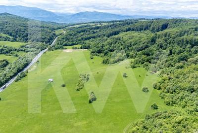 Teren de vanzare - 8.300 mp la intrare in Bradu, judetul Sibiu - 5