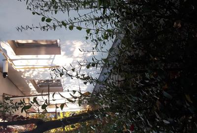 Vand apartament 2camere - 1