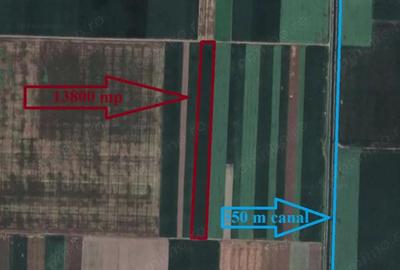 Teren de 13800 mp, în Scânteia - 3