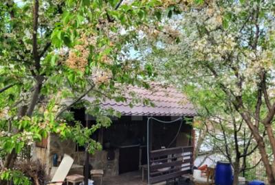 Casă cu 5 camere cu Teren 500 Mp în Central - 5