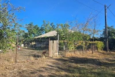 Casa si teren-Com Tamadau Mare, jud. Calarasi - 3