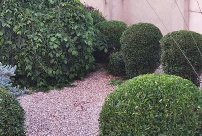 Casă cu 3 camere în Dănești - 2