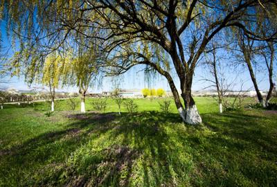 Spațiu comercial, în Central - 4