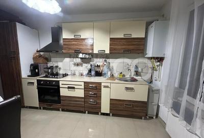 Casa de vanzare in zona Turnisor utilata mobilata curte amenajata - 17