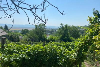 Teren 1000 mp si casa 75 mp - 4