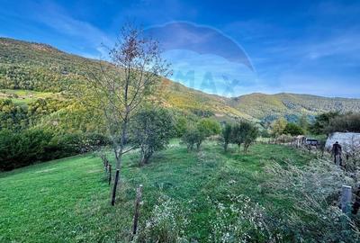 Teren 1812 mp de vanzare | Muntele Rece, cadru linistit, Comision 0% - 8