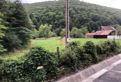Teren de 4000 mp, în Dobârlău - 2
