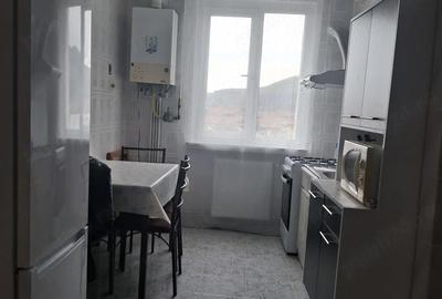 Apartament cu 2 camere decomandat în Precista - 3