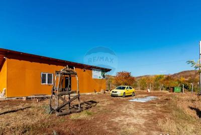 Teren de 40300 mp, în Central - 1