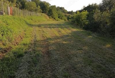 Casă cu 2 camere cu Teren 5400 Mp în Valea Lungă - 5