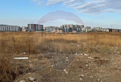 Teren de 9400 mp, în Theodor Pallady - 11