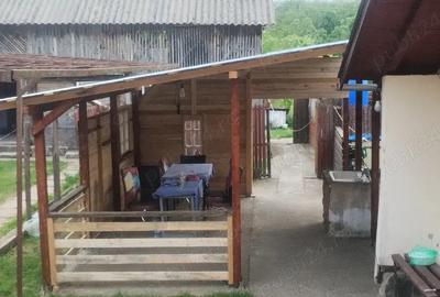 Casă cu 3 camere cu Teren 2900 Mp în Lunca - 3