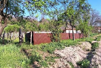 Casa si teren-com. Licurici, loc. Negreni, jud Gorj - 2