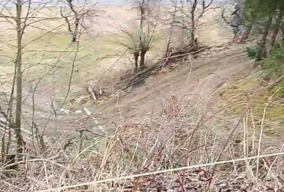 Teren de 20000 mp, în Râu Sadului - 5