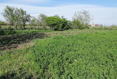 Casă cu 3 camere cu Teren 1250 Mp în Clopodia - 3