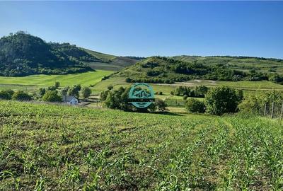 Vand teren intravilan in Sanisor cu suprafata de 4946 mp - 6