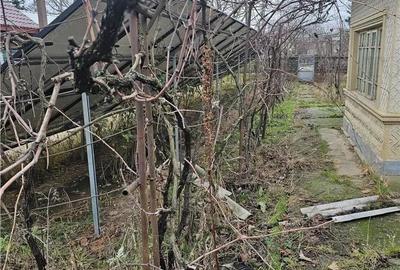 Teren de 2462 mp, în Petrăchioaia - 5