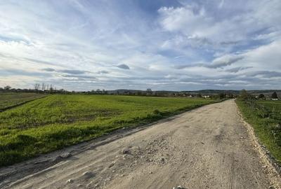 Spațiu comercial, în Golești - 4