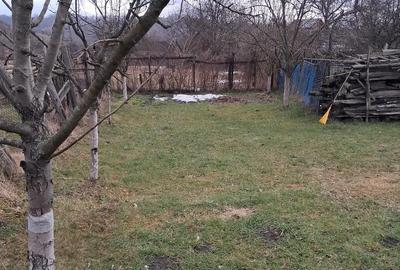 Casă în Central - 1