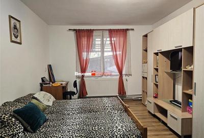 Casa spatioasa P M cu spatiu comercial Rogerius, zona... - 10