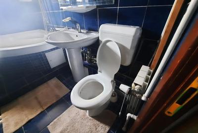 Apartament cu 3 camere decomandat, mobilat în Sebastian - 12