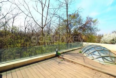 Casă individuală cu 10 camere cu Canalizare în Floreasca - 9