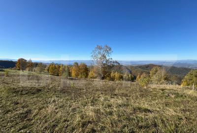 Teren extravilan 6.360 mp in Tarsa - 3