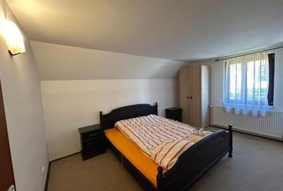 Pensiune de vanzare in statiunea Paltinis,Sibiu- Afacere la cheie - 13