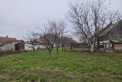 Vand casa vinga mailat - 2