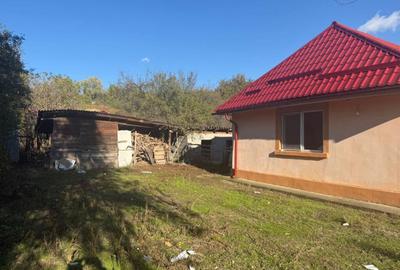 Casa 133 mp utili, 3300 mp teren, Ciutura - 9