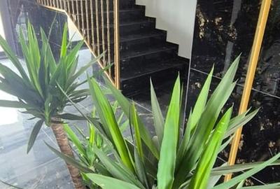 Apartament cu 2 camere decomandat, mobilat în Titan - 5