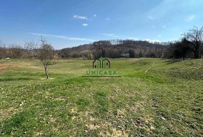 Teren de 8131 mp, în Băile Govora - 5