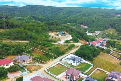 TEREN INTRAVILAN - RM. VALCEA - 19