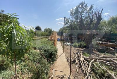 Teren Construcții intravilan de 800 mp, în Exterior Sud - 7