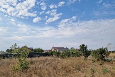 Vand teren intravilan Mogosesti , Giurgiu - 1