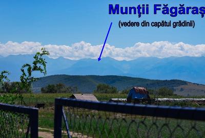 Casa cu 6 camere suprafata 220mp si teren 1700mp spre vanzare in Rosia,SB - 19