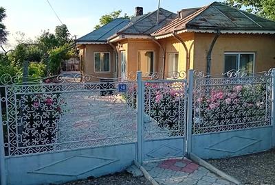 Casa si teren ( 4200 mp) de vanzare - 2
