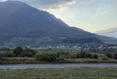 Teren de 500 mp, în Moieciu - 3