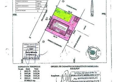 Casă cu 4 camere în Chitila - 3